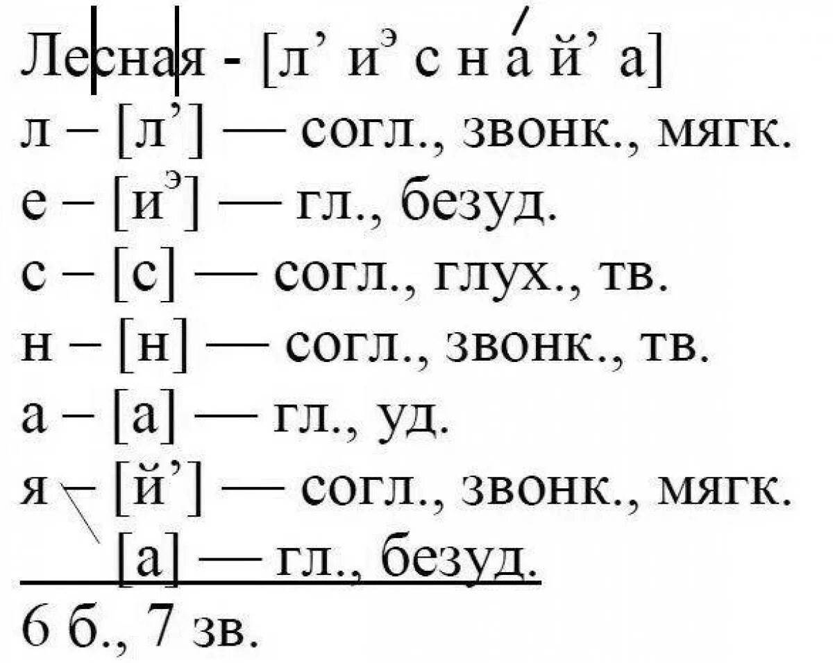 Фонетический разбор слова 4 класс примеры. Фонетический разбор слова Лесная 4 класс. Фонетический разбор слова 5 класс по русскому языку. Лесная звуко буквенный разбор. Фонетический разбор слова лес.