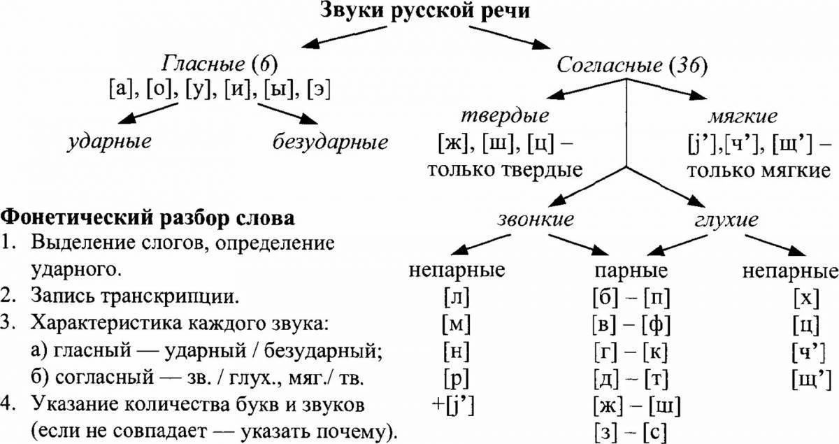 Таблица букв начальная школа - 36/48