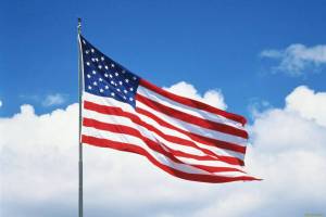 Раскраска флаг американский #3 #540482