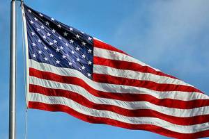 Раскраска флаг американский #17 #540496