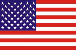 Раскраска флаг американский #30 #540509