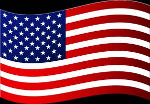 Раскраска флаг американский #35 #540514