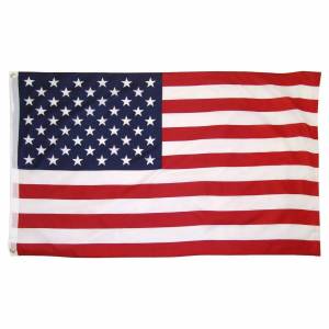 Раскраска флаг американский #38 #540517