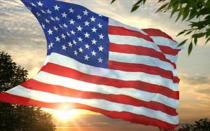 Раскраска флаг америки #6 #540524