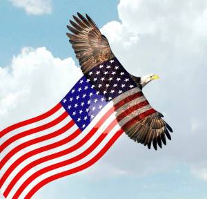 Раскраска флаг америки #8 #540526