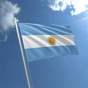 Раскраска флаг аргентины #5 #540636