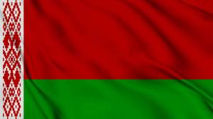 Раскраска флаг беларуси для детей #2 #540660
