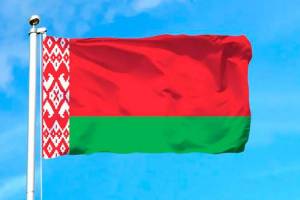 Раскраска флаг беларуси для детей #7 #540665