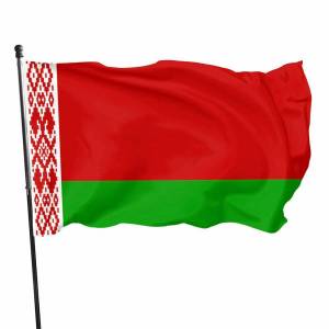 Раскраска флаг беларуси для детей #13 #540671