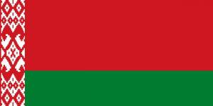 Раскраска флаг беларуси для детей #30 #540688