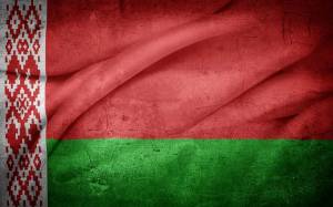 Раскраска флаг белоруссии #6 #540701