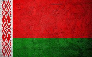 Раскраска флаг белоруссии #7 #540702