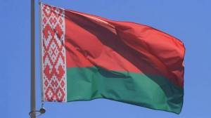 Раскраска флаг белоруссии #24 #540719