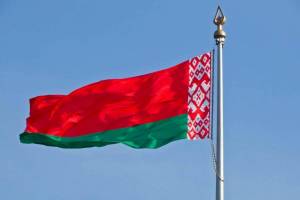 Раскраска флаг белоруссии #29 #540724