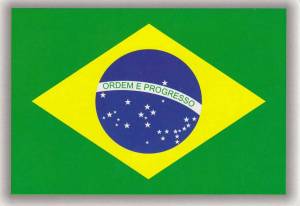Раскраска флаг бразилии #4 #540736