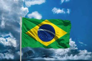 Раскраска флаг бразилии #11 #540743