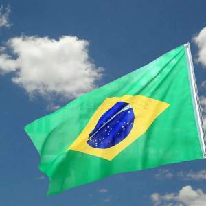 Раскраска флаг бразилии #22 #540754