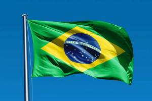 Раскраска флаг бразилии #26 #540758