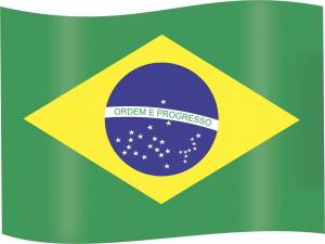 Раскраска флаг бразилии #27 #540759
