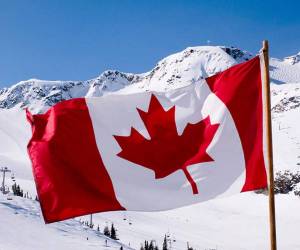Раскраска флаг канады #15 #541018