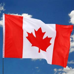 Раскраска флаг канады #21 #541024