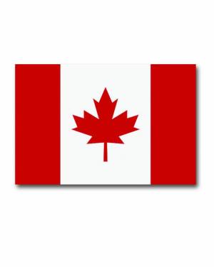 Раскраска флаг канады #31 #541034