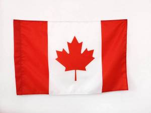 Раскраска флаг канады #35 #541038