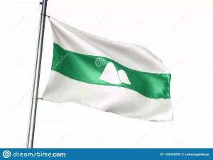 Раскраска флаг курганской области #4 #541135