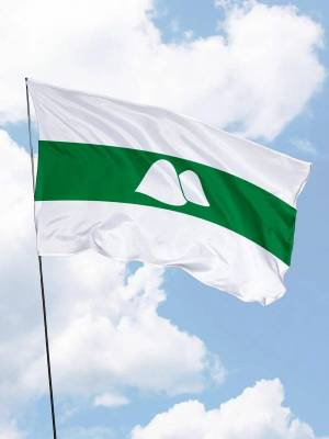 Раскраска флаг курганской области #9 #541140