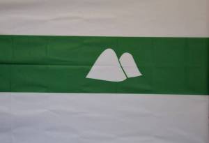 Раскраска флаг курганской области #20 #541151