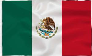 Раскраска флаг мексики #1 #541156