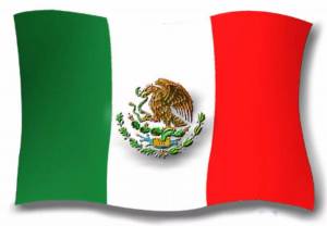 Раскраска флаг мексики #9 #541164