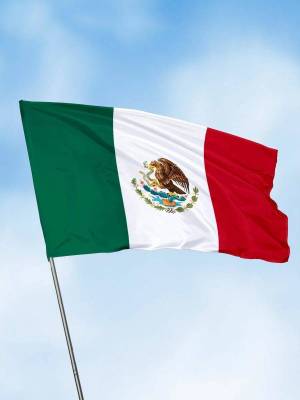Раскраска флаг мексики #29 #541184