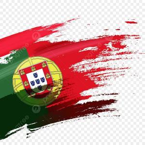 Раскраска флаг португалии #7 #541200