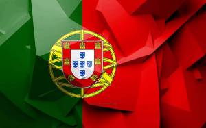 Раскраска флаг португалии #16 #541209
