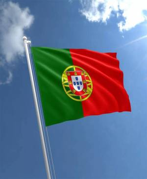 Раскраска флаг португалии #23 #541216