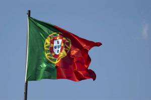 Раскраска флаг португалии #28 #541221