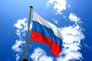 Раскраска флаг рф #6 #541312