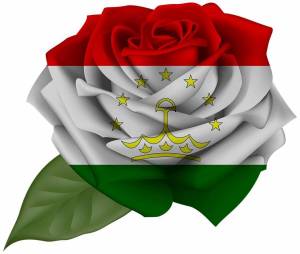 Раскраска флаг таджикистана #4 #541384