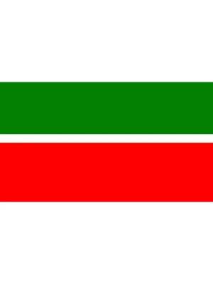 Раскраска флаг татарстана #13 #541431
