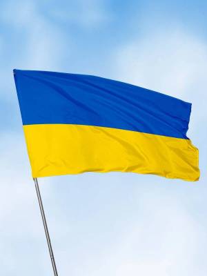 Раскраска флаг украины #1 #541523