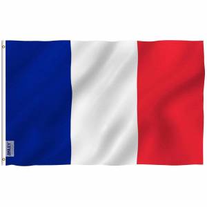 Раскраска флаг франции #3 #541598