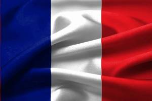 Раскраска флаг франции #4 #541599