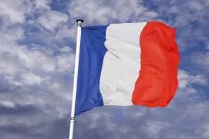 Раскраска флаг франции #5 #541600