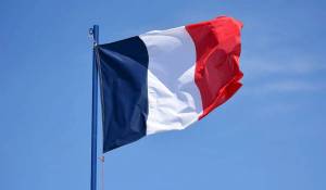 Раскраска флаг франции #6 #541601