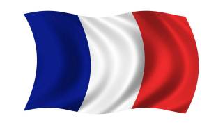 Раскраска флаг франции #7 #541602