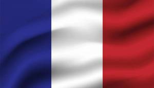 Раскраска флаг франции #9 #541604