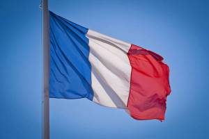 Раскраска флаг франции #12 #541607