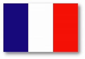 Раскраска флаг франции #13 #541608