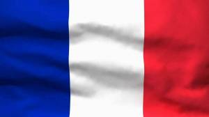 Раскраска флаг франции #15 #541610